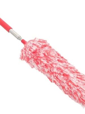 PLUMERO DE MICROFIBRA ECONOMICO